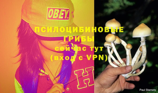 герыч Козловка